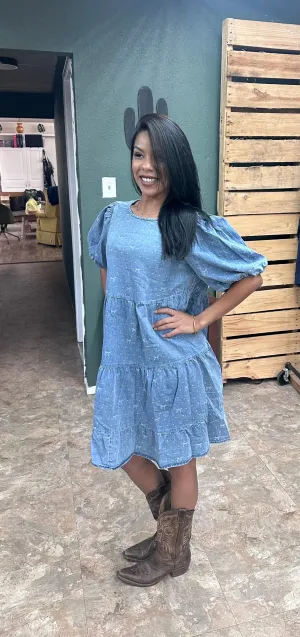 Alexis Chambray Dress