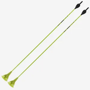Archery Arrows Twin-Pack Discosoft