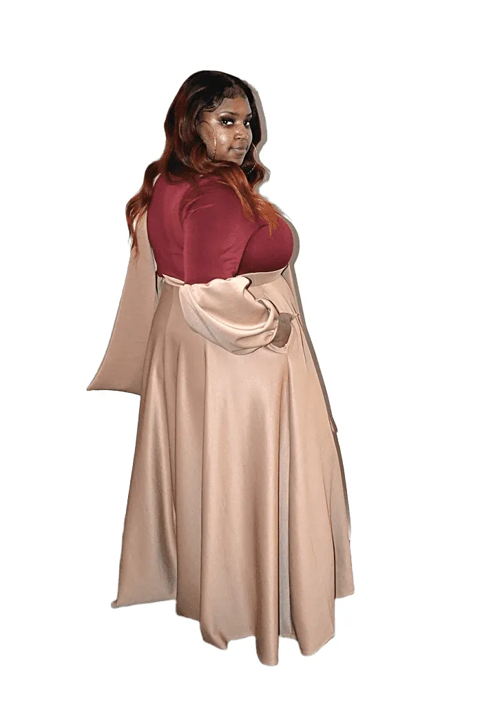 Balloon Sleeve Two Tone Dress