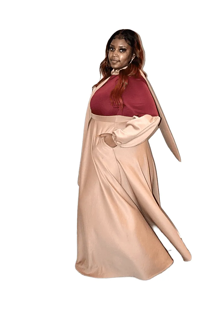 Balloon Sleeve Two Tone Dress