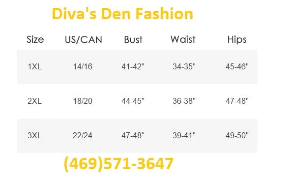 Balloon Sleeve Two Tone Dress
