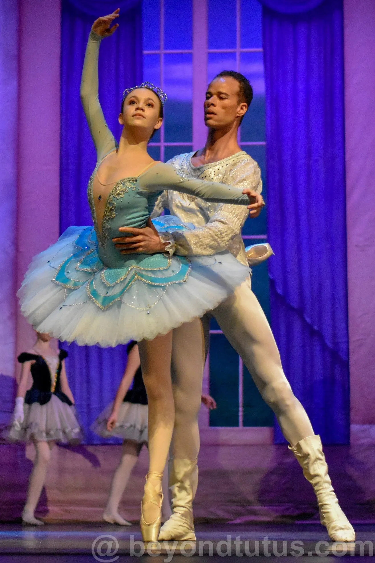 Blue Long Sleeved Professional Tutu