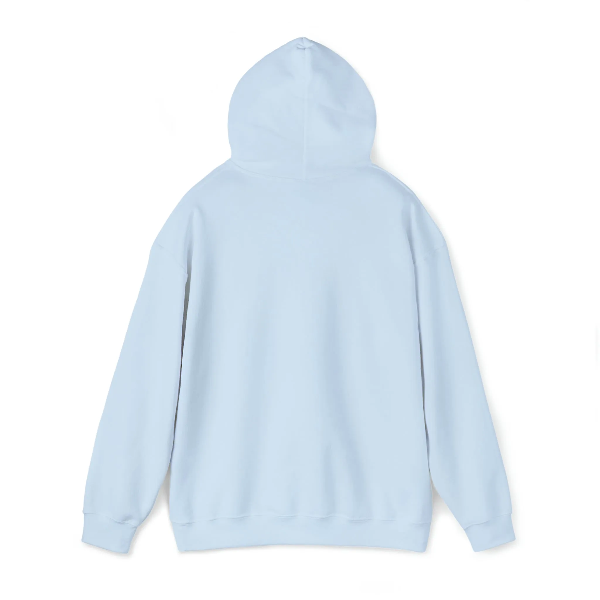 Certified Crystal Healer Hoodie