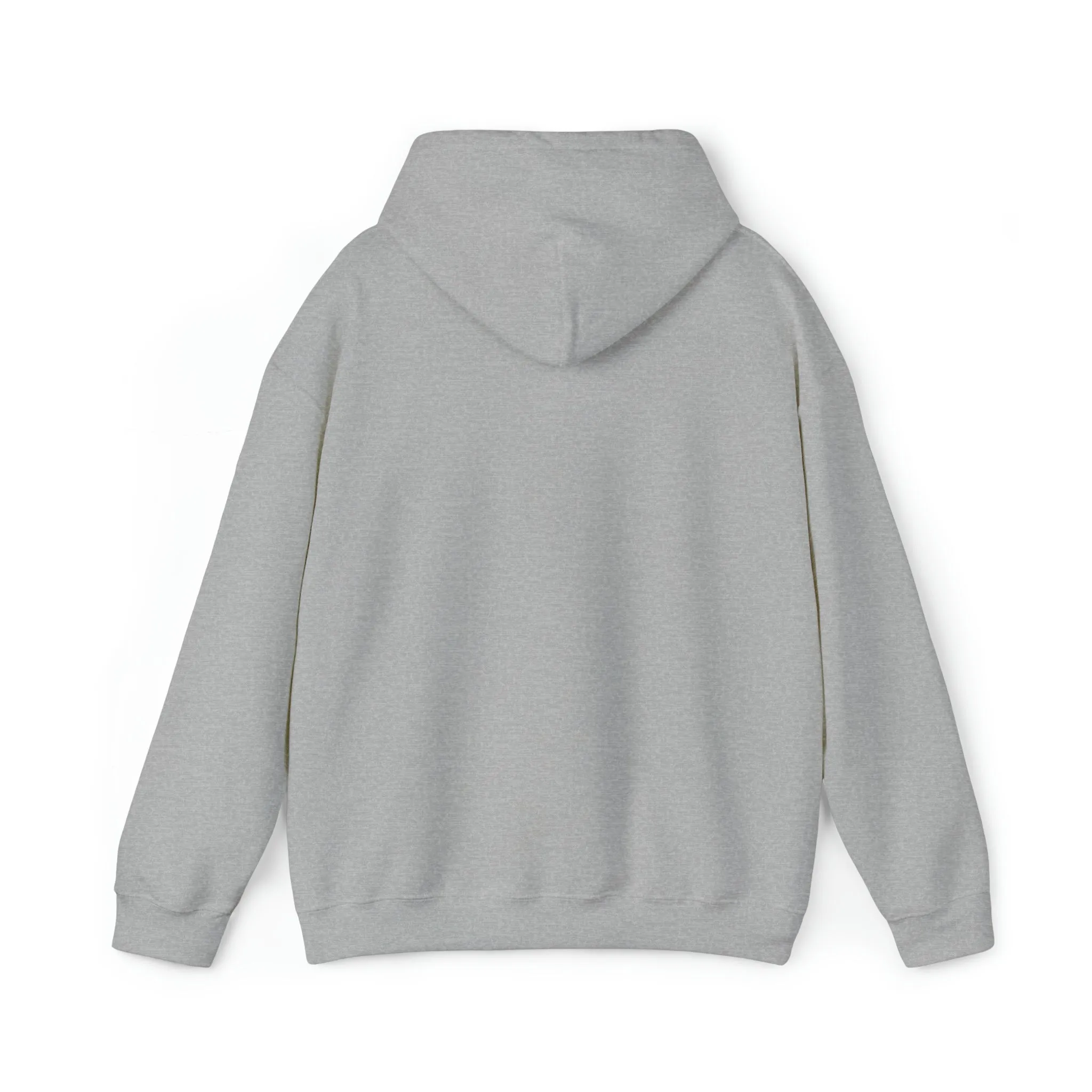 Certified Crystal Healer Hoodie