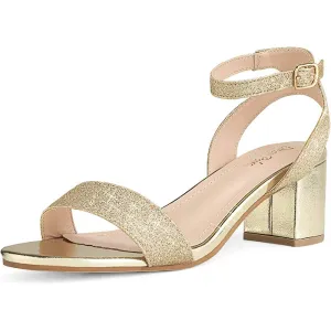 DREAM PAIRS Women's Open Toe Ankle Strap Low Block Chunky Heels Sandals Party Dress Pumps Shoes | Multiple Colors and Sizes