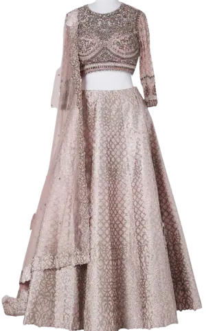 Dusty Pink Heavily Embellished Scalloped Lehenga
