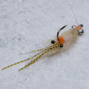 EP Spawning Shrimp #4