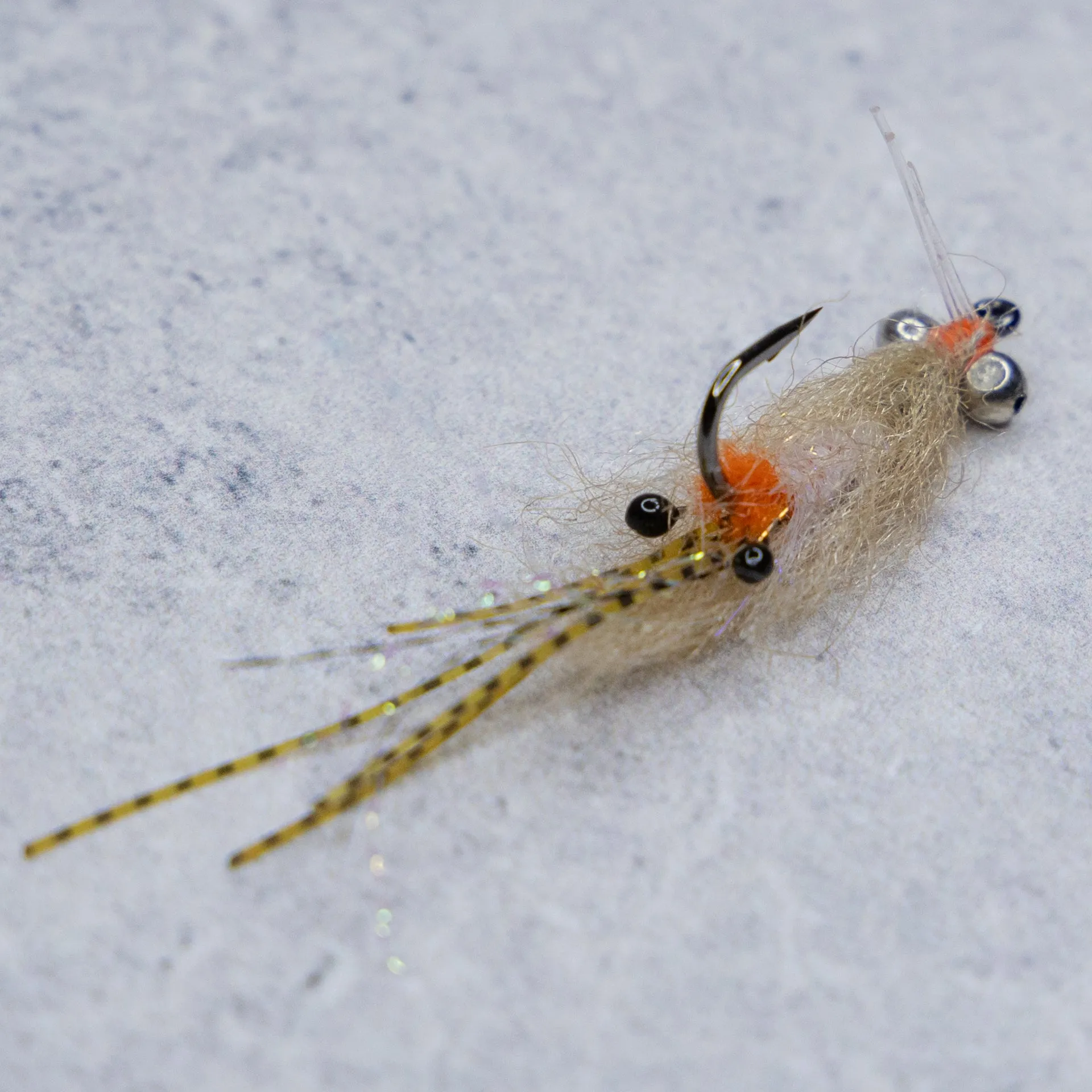EP Spawning Shrimp #4