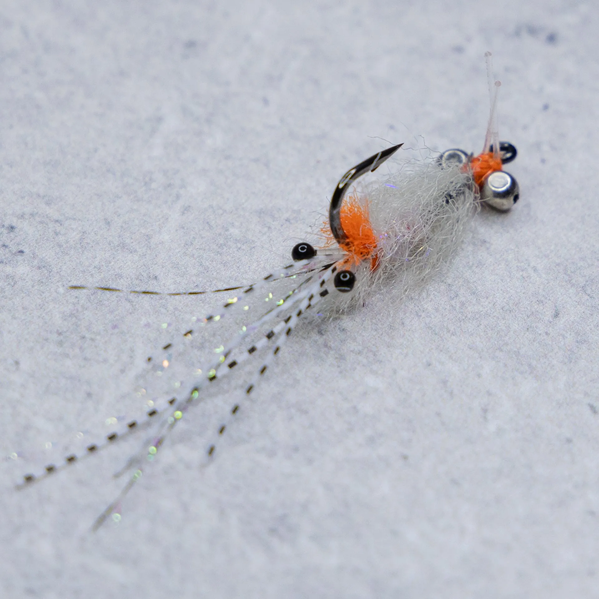 EP Spawning Shrimp #4