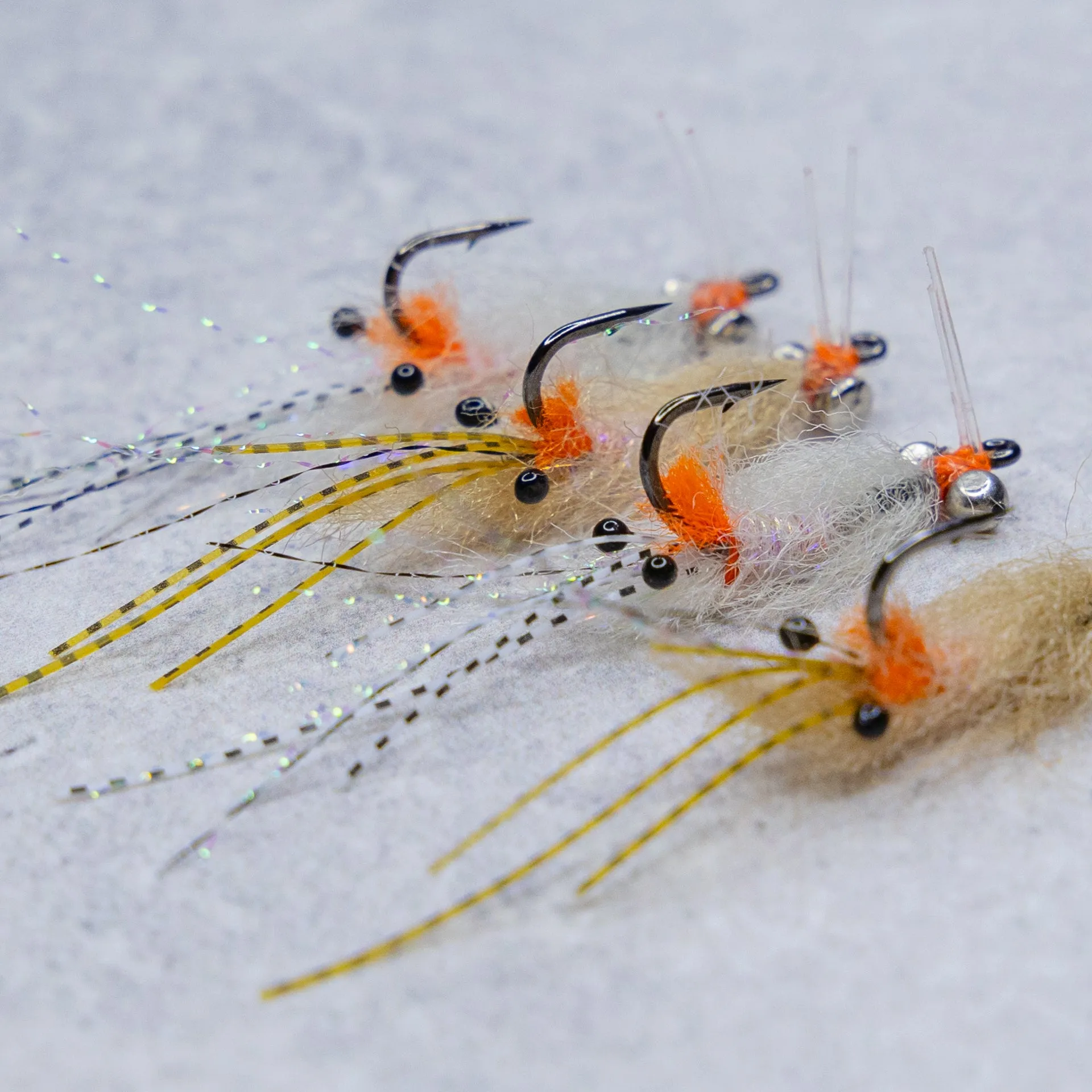EP Spawning Shrimp #4