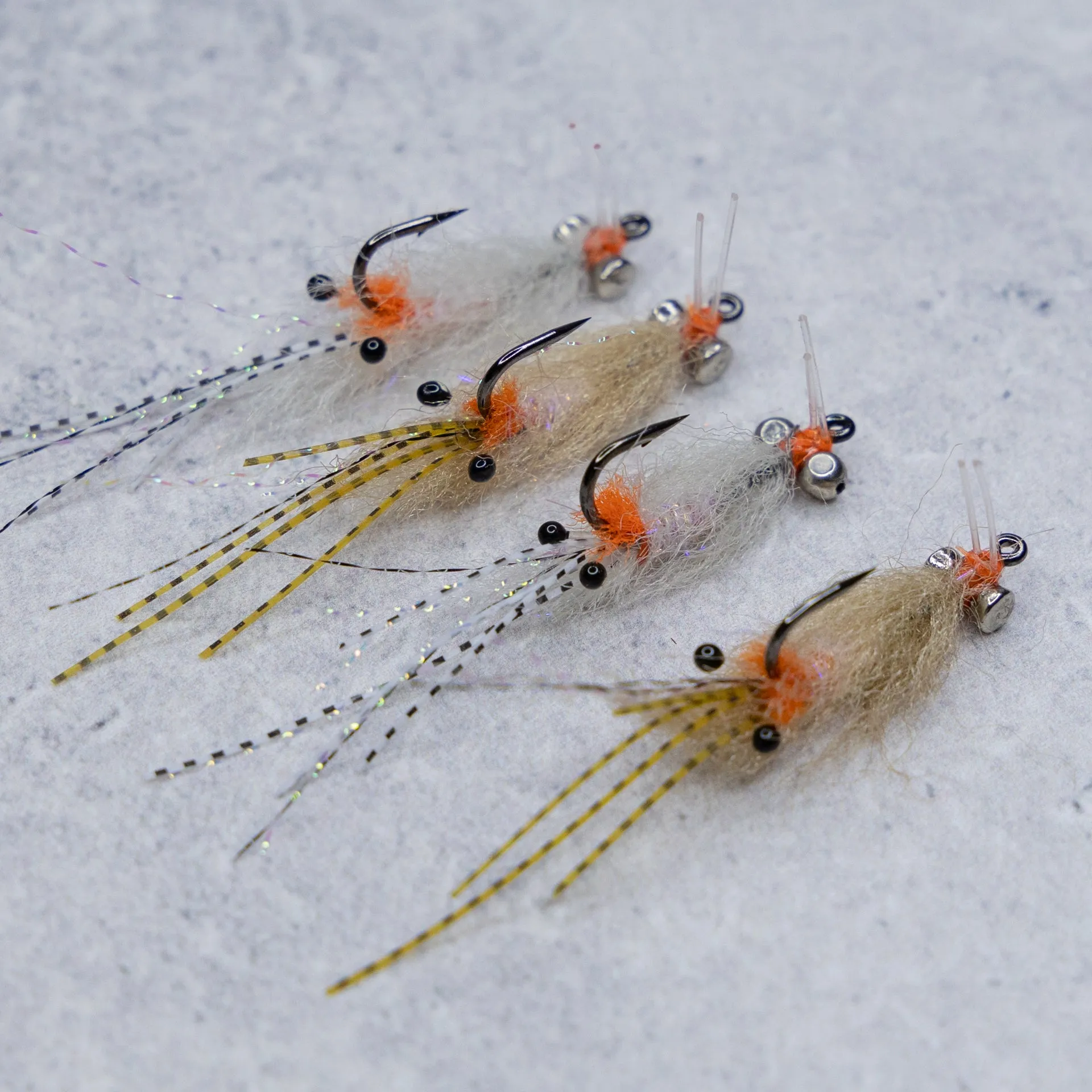 EP Spawning Shrimp #4