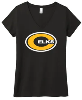 Ladies V Neck Tee - PVS24
