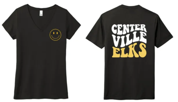 Ladies V Neck Tee - PVS24