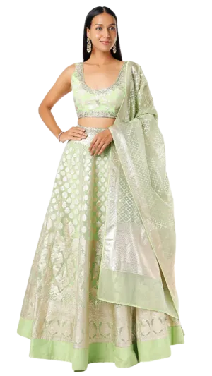 Lime Green Sleeveless Banarasi Lehenga