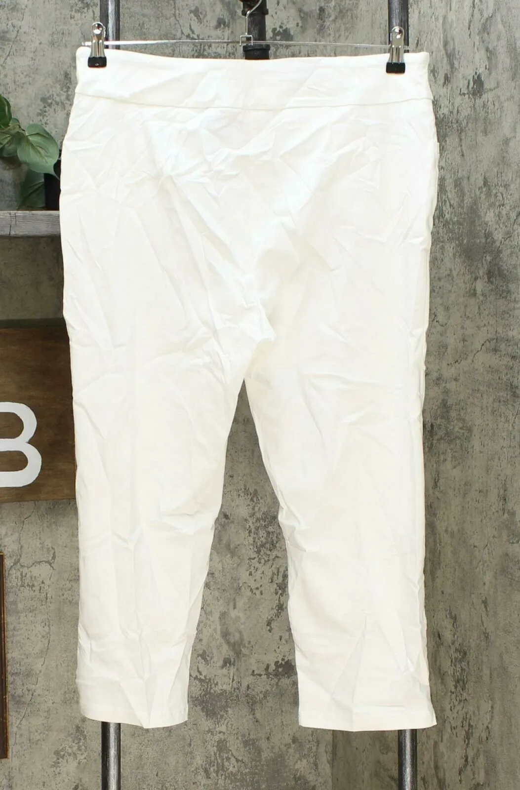Nina Leonard Women's Straight Leg Pants Ivory Plus 1X