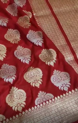 Raveena Tandon Exclusive New Banarasi Pure Katan Red Silk Saree