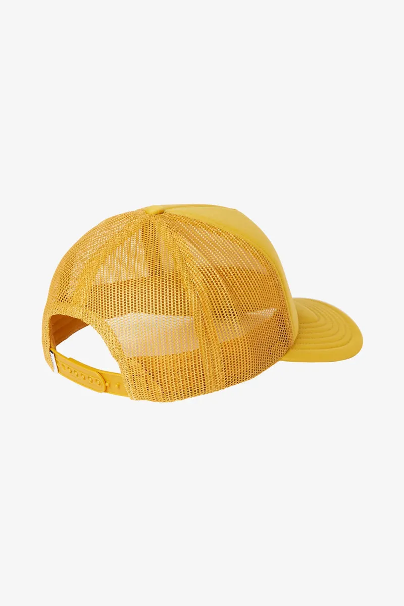 Ravi Trucker