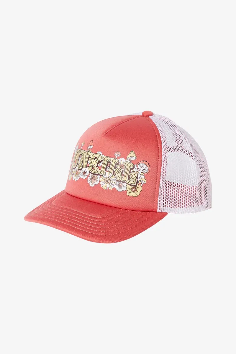 Ravi Trucker