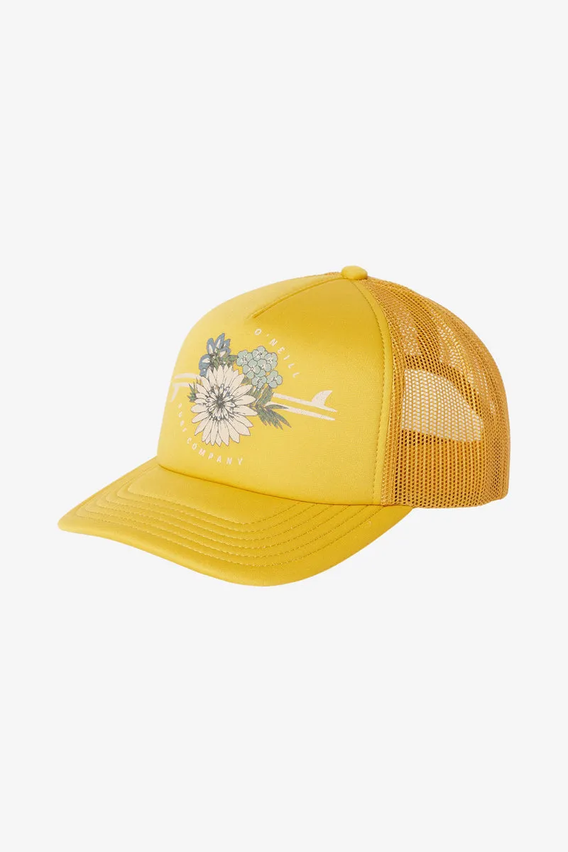 Ravi Trucker