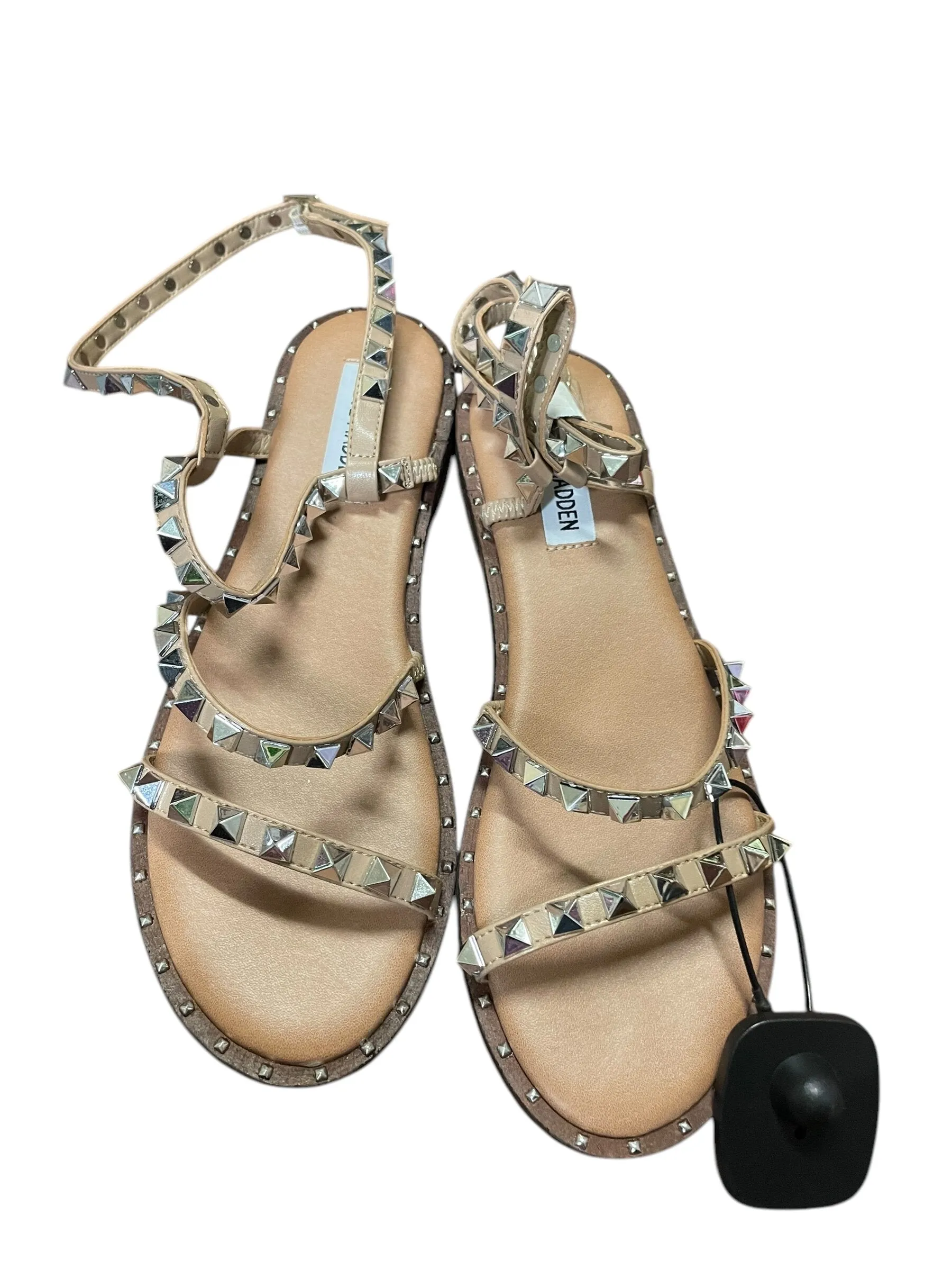 Sandals Flats By Steve Madden  Size: 6.5
