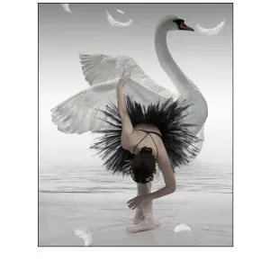 Swan Lake