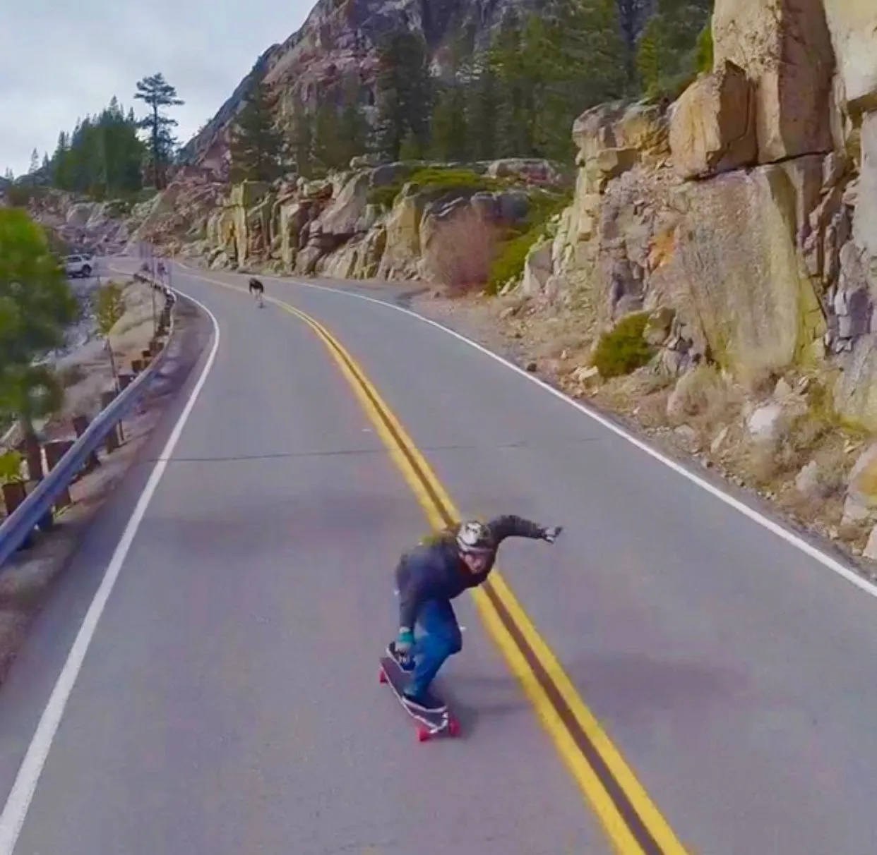 Tahoe Cutthroat Original Deck