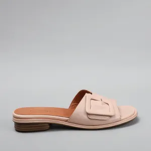 Trend - Blush
