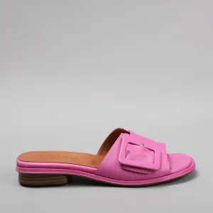 Trend - Hot Pink