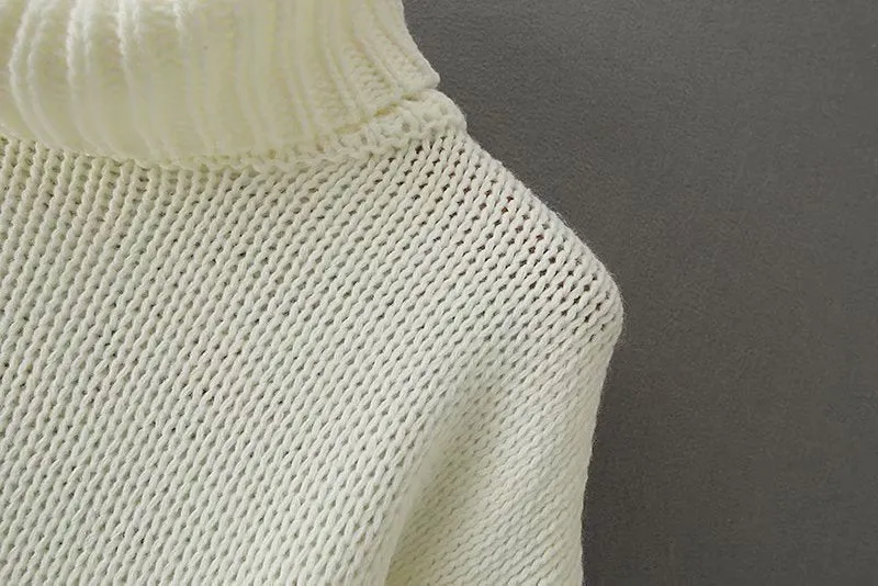 Vintage High Collar Hollow-out Lantern Sleeve Knit Sweaters