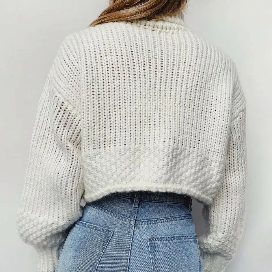 Vintage High Collar Hollow-out Lantern Sleeve Knit Sweaters