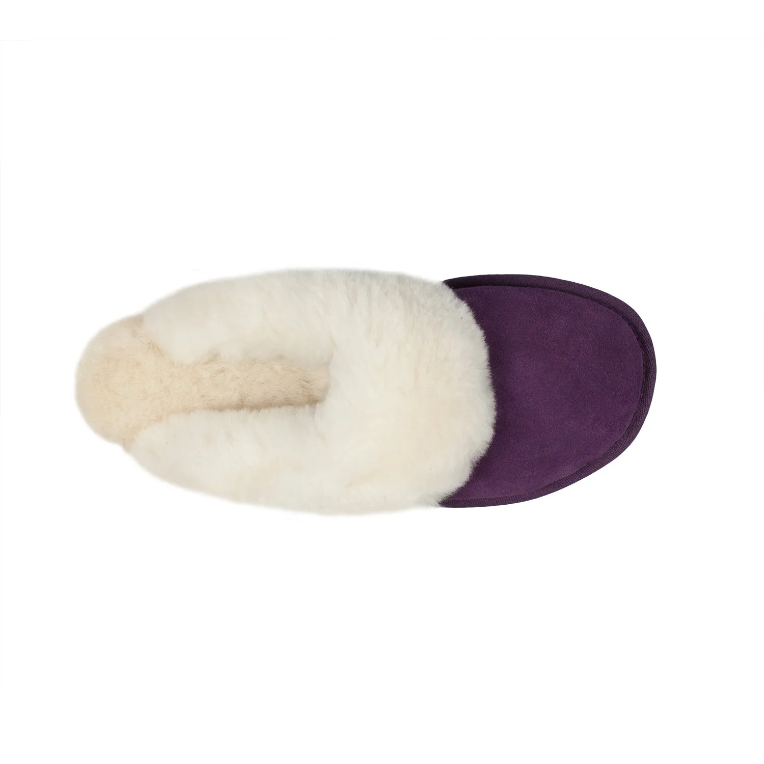 Women's Purple Scuff